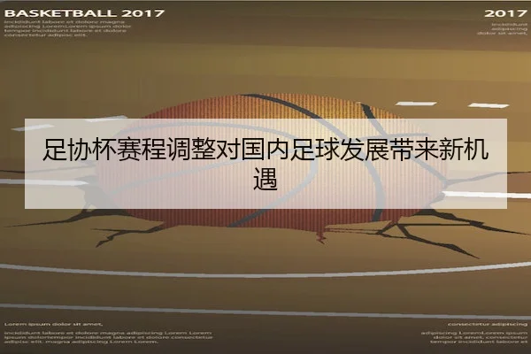 足协杯赛程调整对国内足球发展带来新机遇 - YX SPORTS